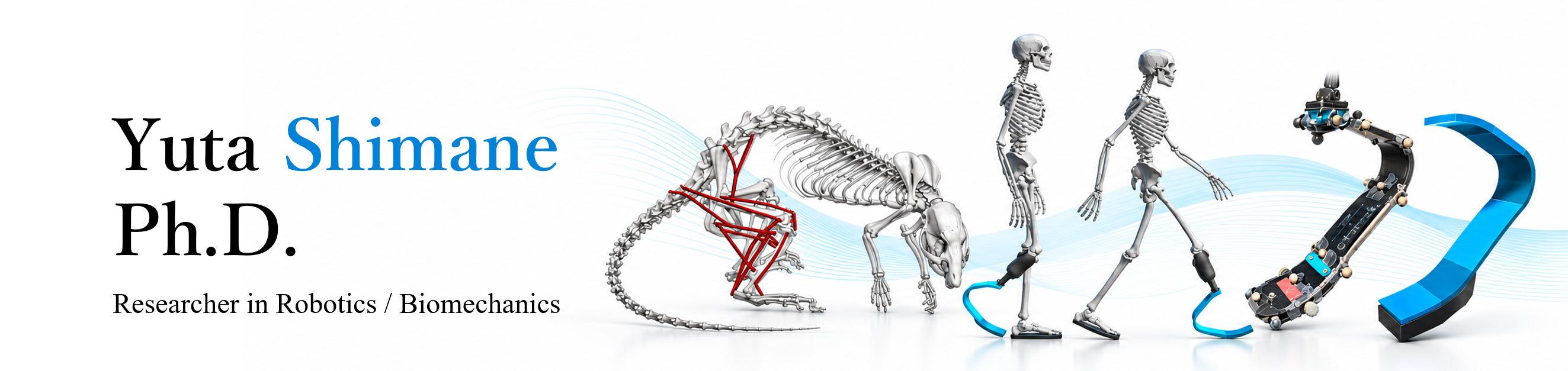 Yuta Shimane, Ph.D. — Researcher in Robotics / Biomechanics